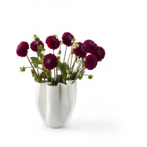 Vase Livree
